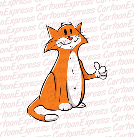 thumbs up cat